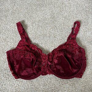 Marie Jo Bra Maroon Burgundy Velvet Size UK 40 E Embroidered Sexy Beautiful